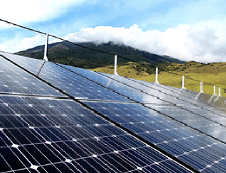 Solar Panels built on a plantation
